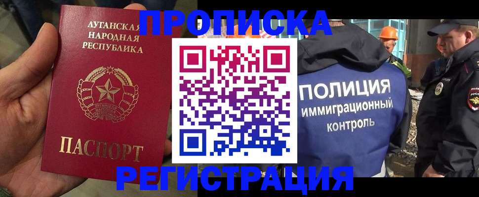 прописка поиск в Нелидово